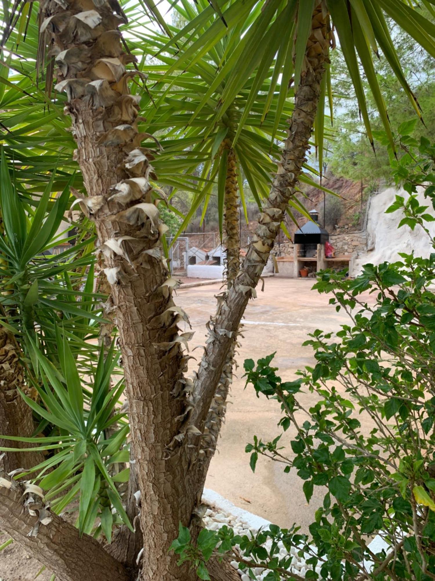 La Casa De La Fuensanta Villa Murcia Eksteriør bilde